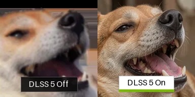 YtzxTVKPlD6Flhn8.jpeg