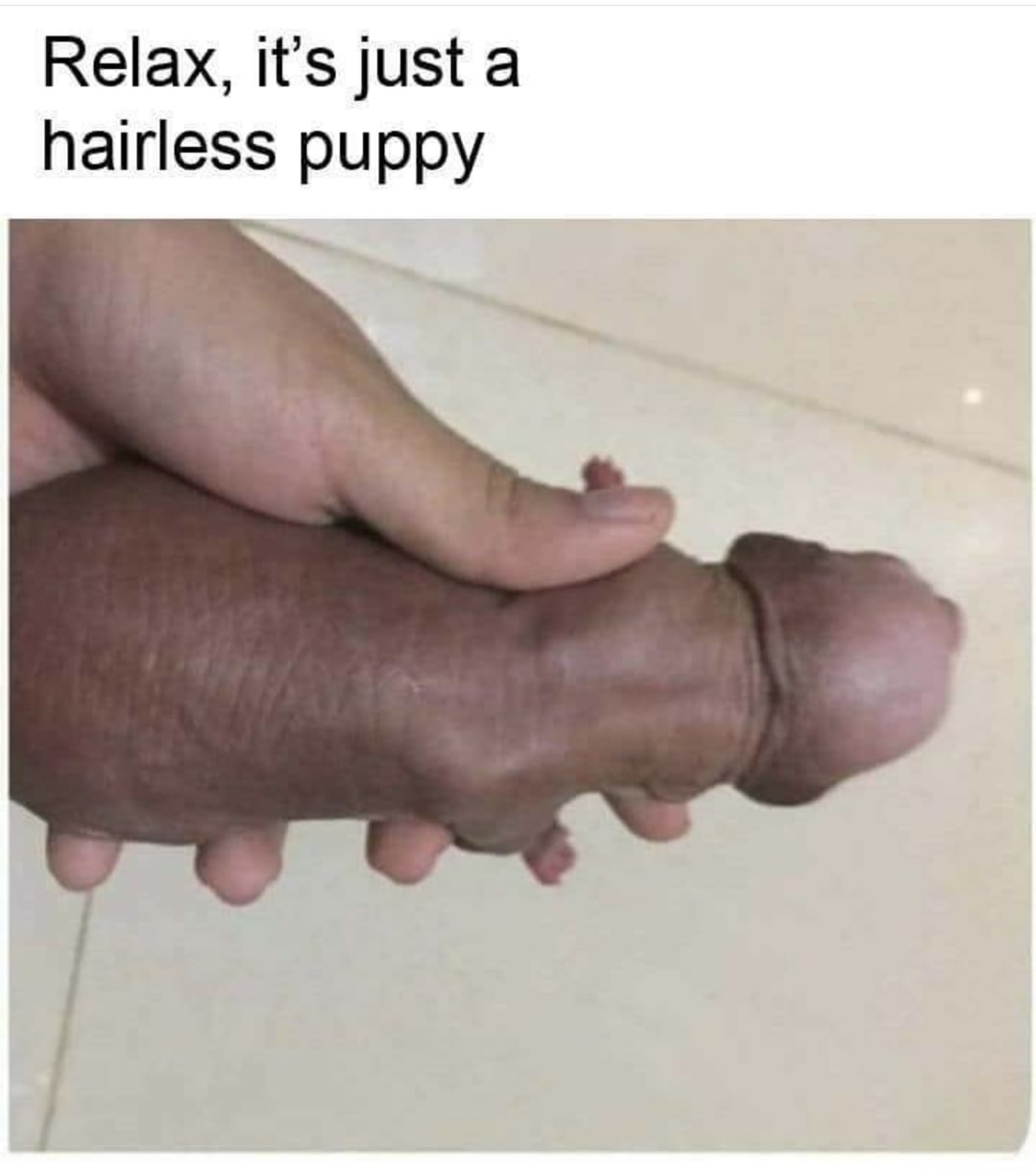 Q6G2p0NvjmgXQu3D.jpeg
