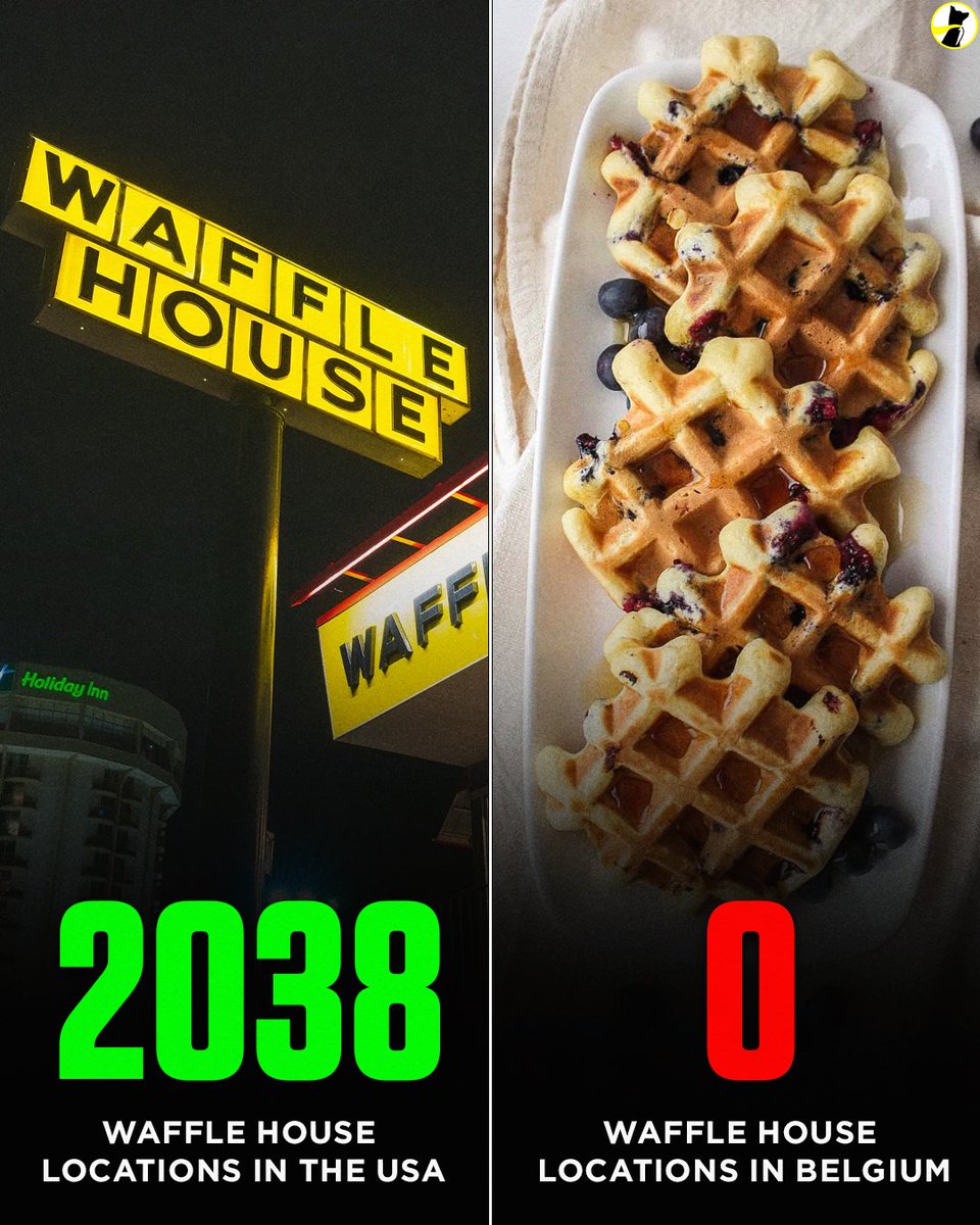 ac2v0Q5vbPK0Vlwd.jpeg