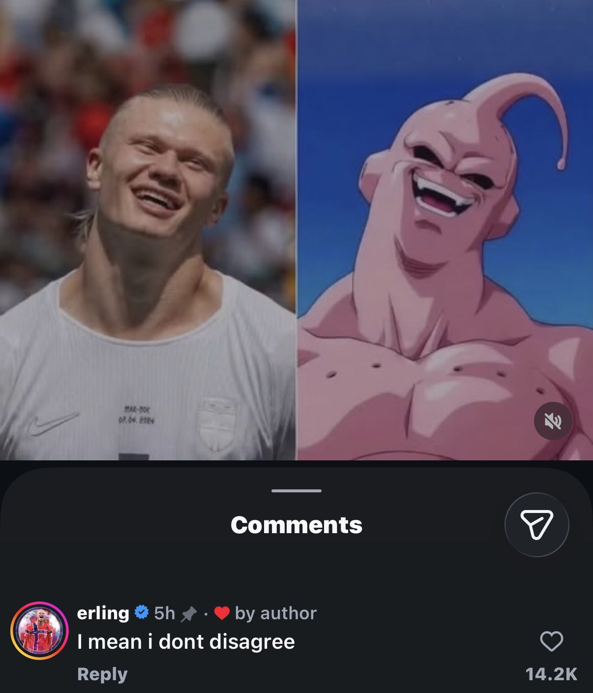 zzSWS9WhnNmeF9tq.jpeg