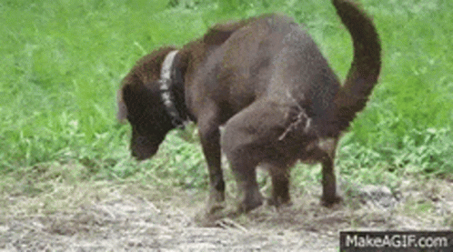 YYiQnejD6jZkgdwZ.gif
