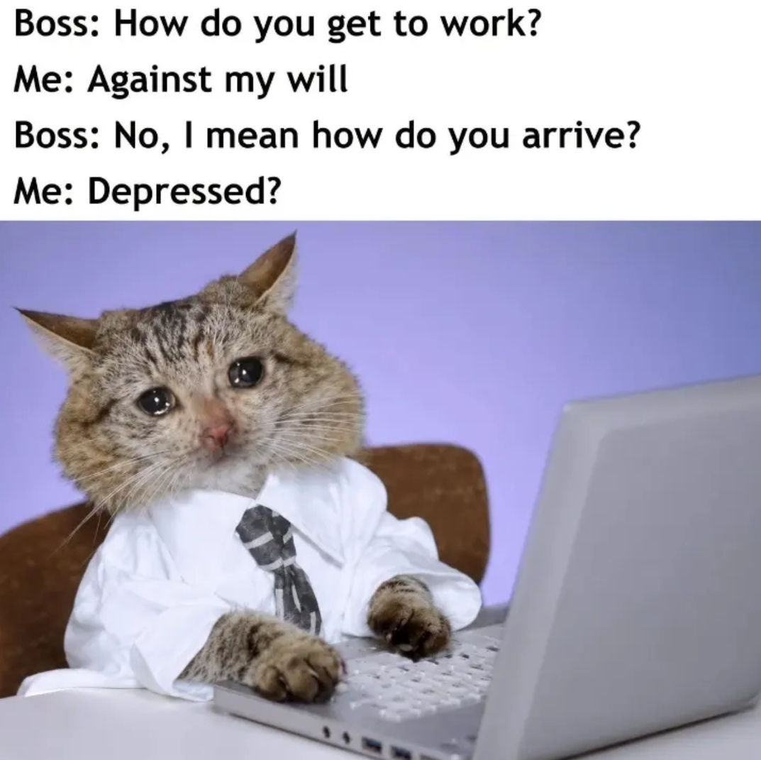 C31dBTLwGFTo7bTl.jpg