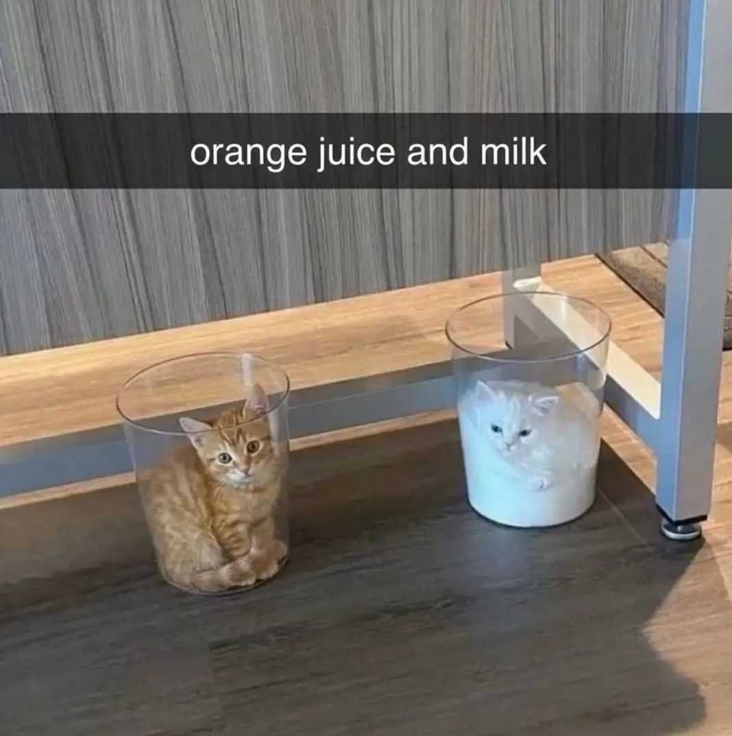 OWEtwHvRH5cNuaRd.jpg