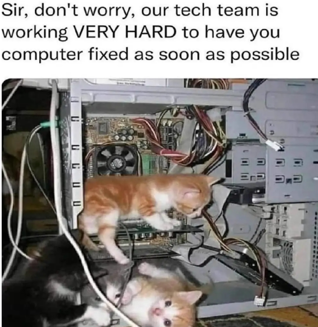 nz0kMRWJEkSWb55N.jpg