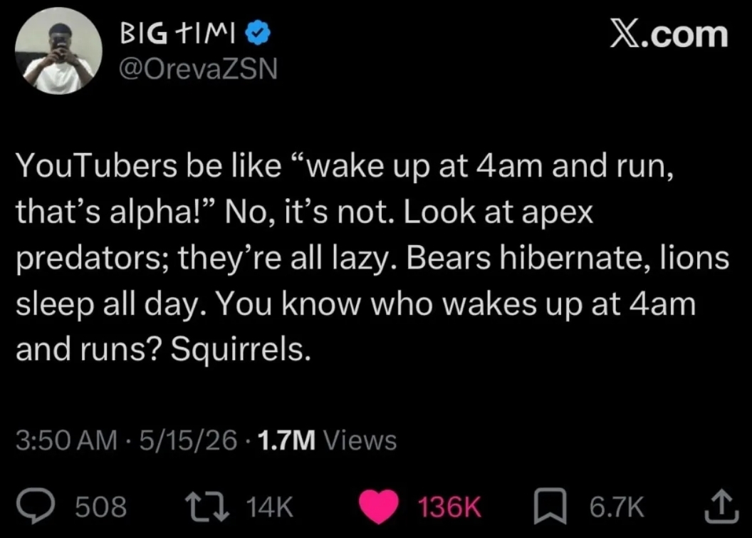 y1H5zhA0aq2lncXz.jpg