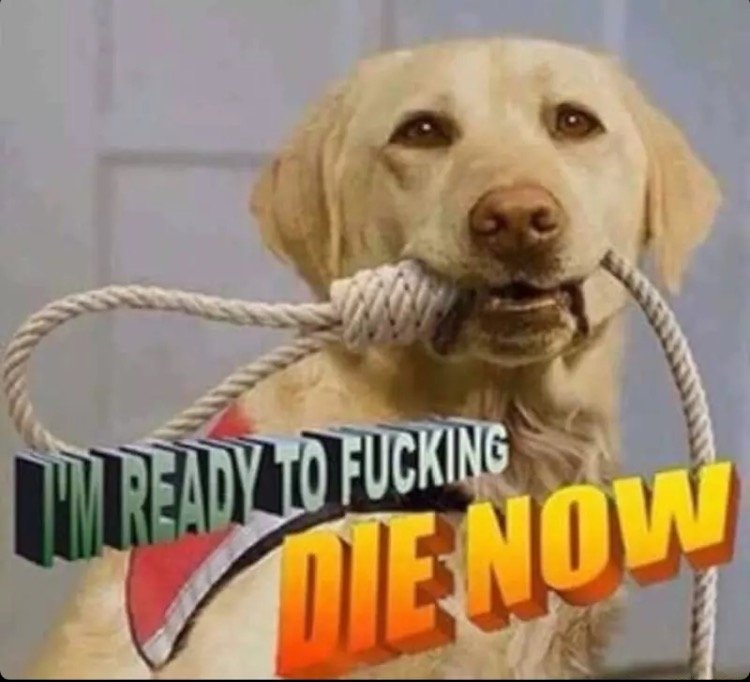 X9UTaiyJjx7dQSpV.jpg