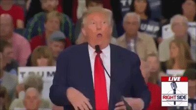 nteutQ0gRvpdKZDS.gif