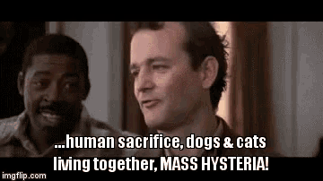 3ItK0RgPhyF2D7HG.gif