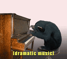 wnIFtIxk6lnN2yvX.gif