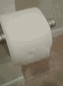 NvBy2aoiLM99pLl0.gif