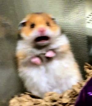 9CSAA9yn5bnczbx9.jpg