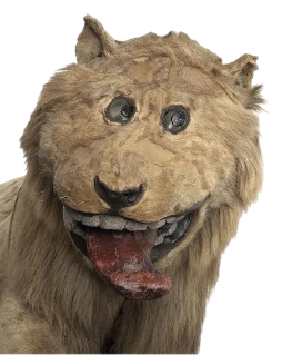 Hj3wA2oxAuplKLma.png
