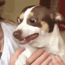 IwRtsoe4xDzKpSHO.gif