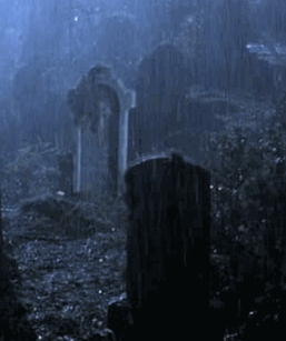 RXzYjCdrUbfif3DK.gif