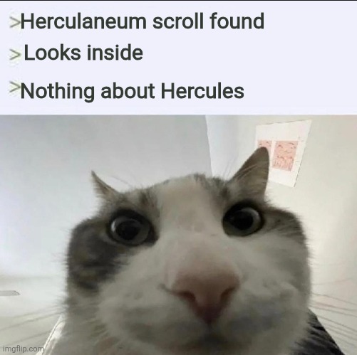SQKpUK6Tu2jgoIUp.jpg