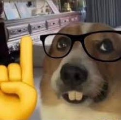 b8gxLXP6CHHu1l1b.jpg