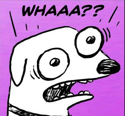 g9FRcdQLqfCbGMmT.jpg