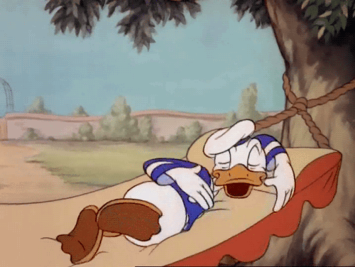 i9PY2qqssw3kmQbw.gif