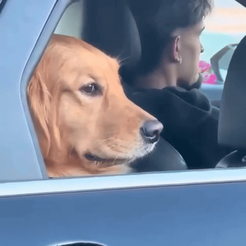 qzbyBWofWqnPEU0I.gif