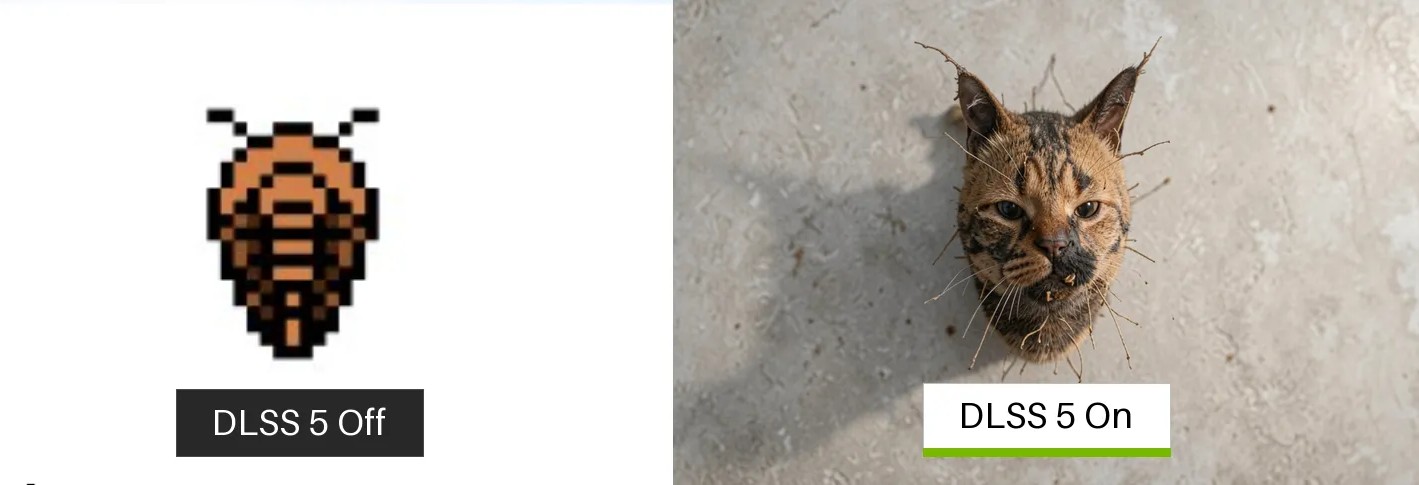wKoELpcPNtoIy7oG.jpg