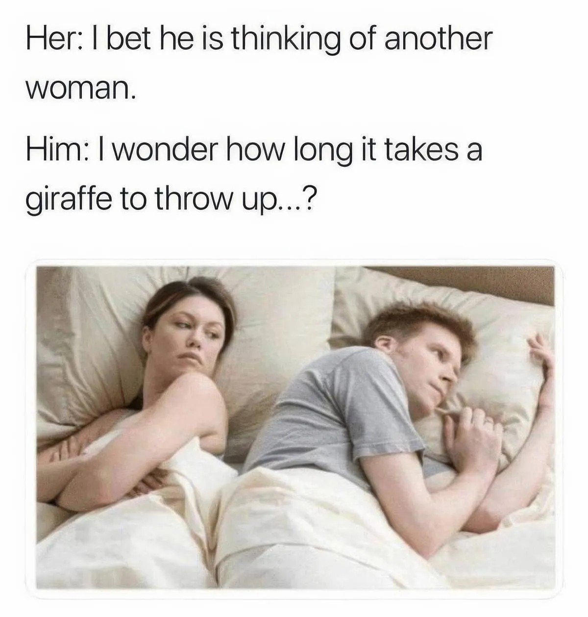 A8oMpRQOqZoBySkM.jpg