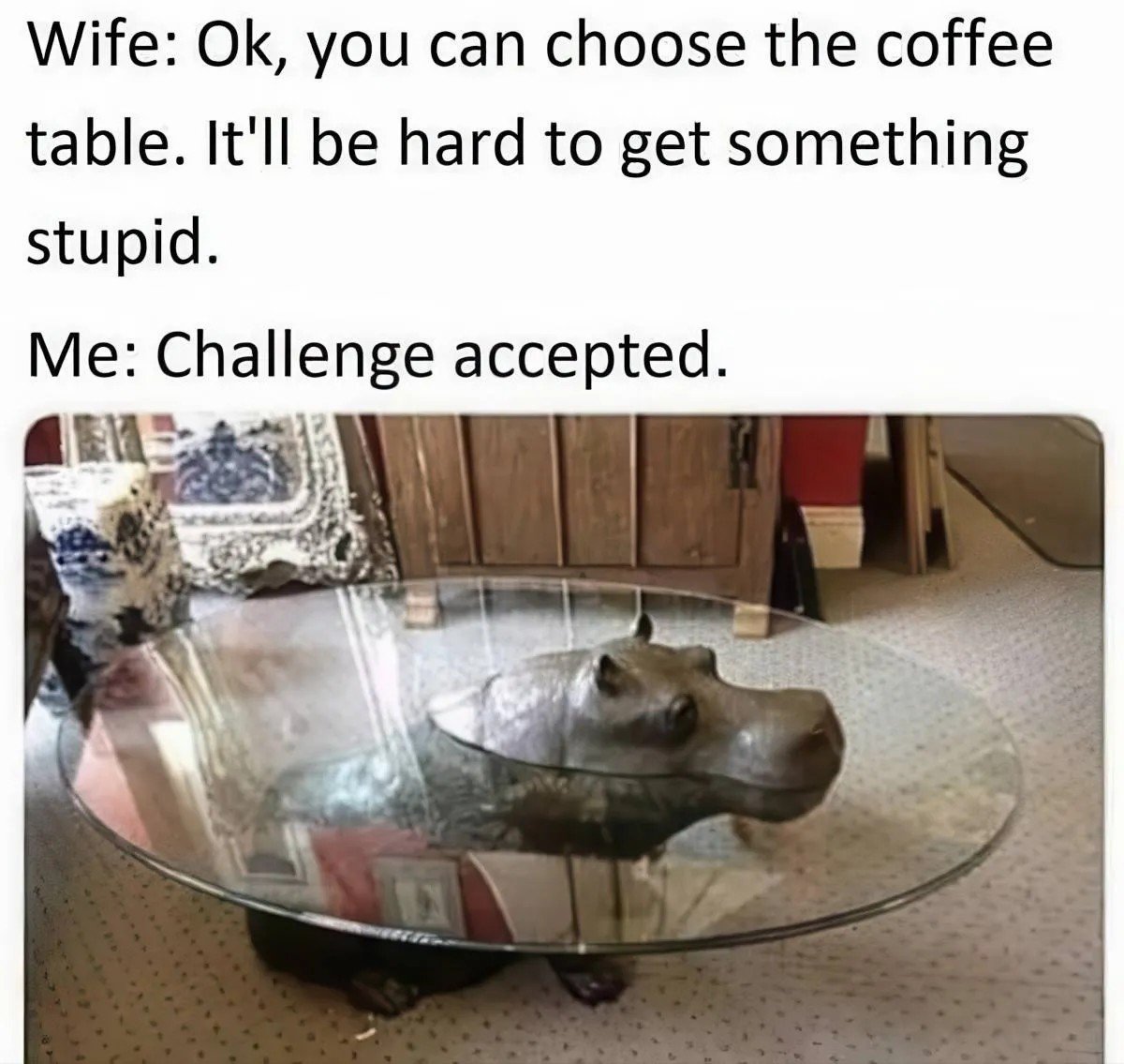 HIwMsFB9qnCESXav.jpg