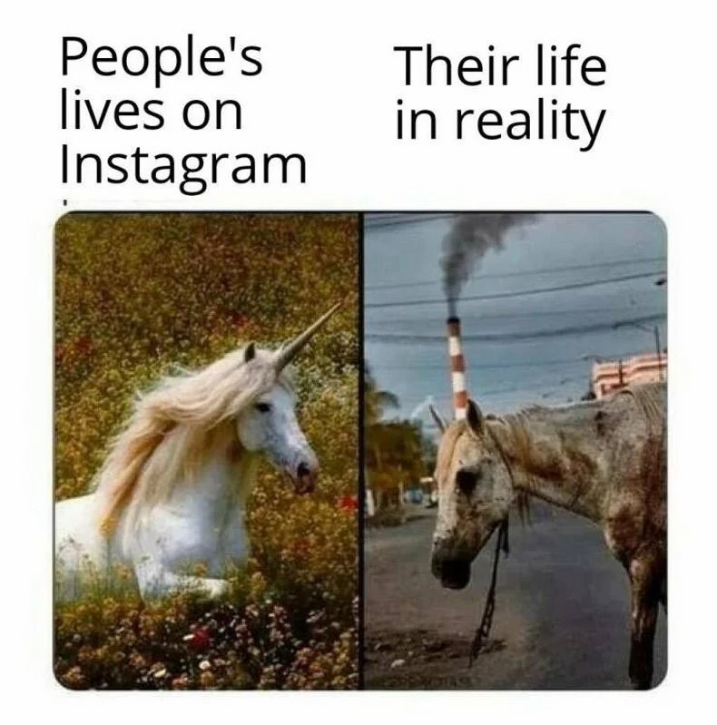 YGnGjw05RBdKnr3M.jpg