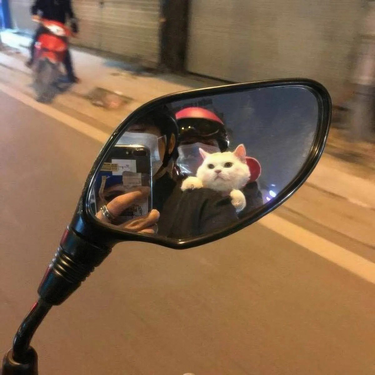 jzcAjOc7jTxbshiF.jpg