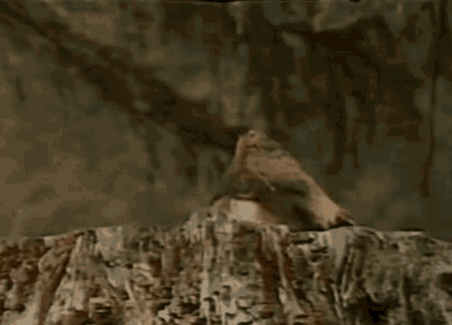 2ATys0CT2LJsPI1J.gif