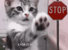 gPjnrHNwpVdW3iit.gif