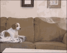 FHYe6EounALxSvGI.gif