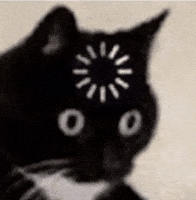 0flFLBBemqQPIOef.gif