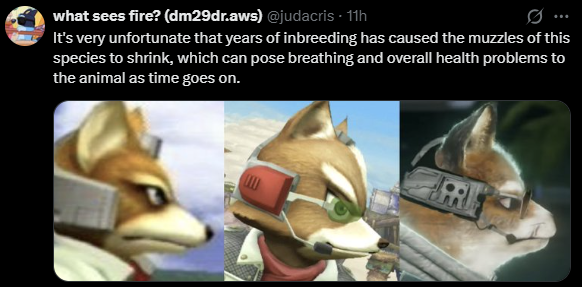 apXk6RSQewNqY9Ib.png