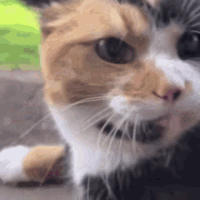 7RgbWWFB82ViEkkU.gif