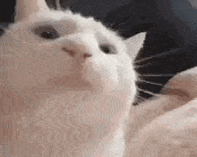 PL69nEsrDs6jGIsr.gif