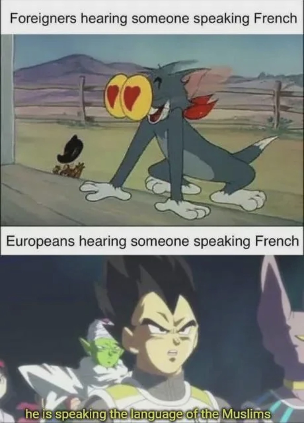 uPFNvBBoZ1B1jdlu.jpeg