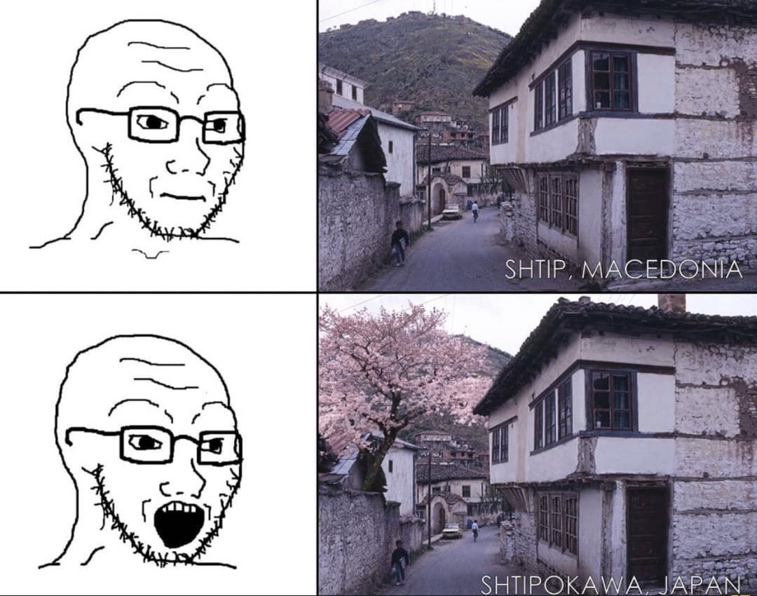 WecZOW8vj6rdkKG8.jpeg