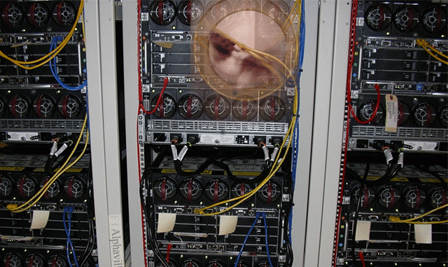 hUrJZ8e1xB1ineWP.gif