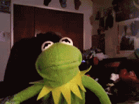 jUfOP82fCcuGtEGf.gif