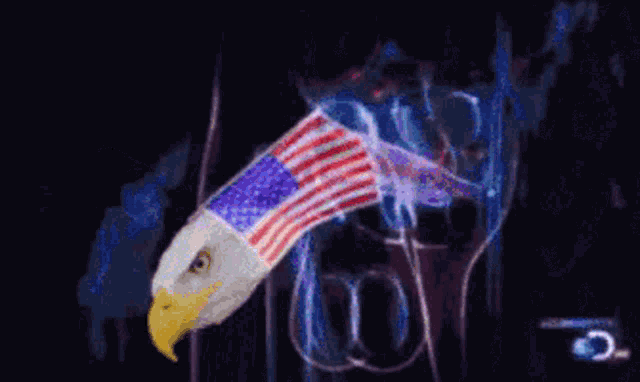 ah1XkvP1jdMVaFW4.gif