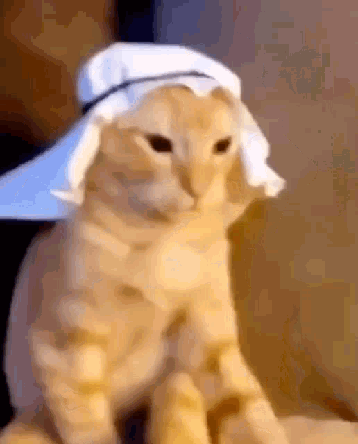 6jQAAuRR7wufh5zr.gif