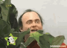 71lzZruTWRKm6WSZ.gif