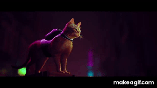 CgwCMJgiXuyvWAFN.gif