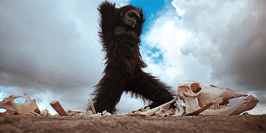F1v8pimNbjc6xk0v.gif