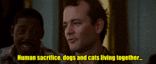 M49oOmEFI2dhAq51.gif