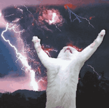 PUWeIo7jGfAhETyv.gif