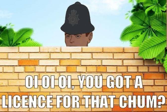 XNNaYEjcto2fyzH5.jpg