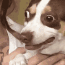 iqQNxE9Omm3C0r5n.gif