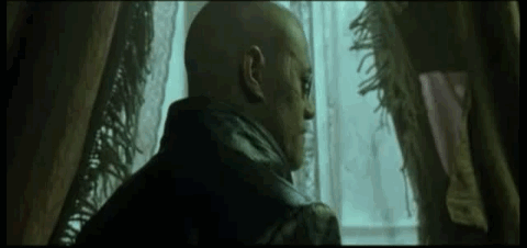 jfe8fG8deelQR3a8.gif