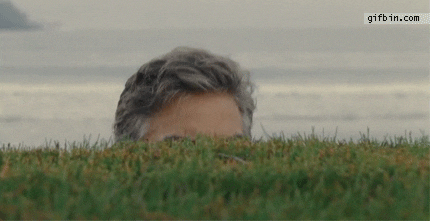 sBsY7NW8bnDUg46D.gif